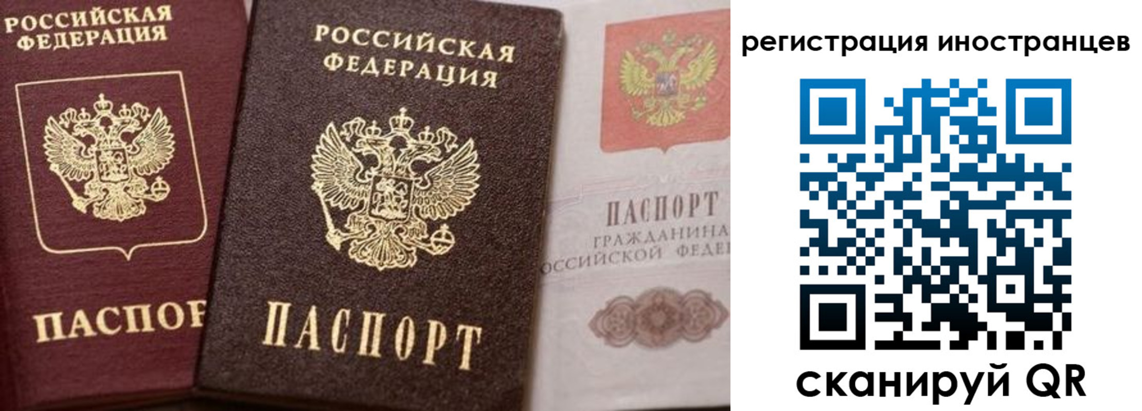 временная регистрация купить в Вихоревке